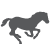 Equine Services