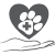 Small Animal Screening 