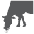 Ruminants 